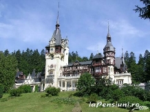 Casa Ticu - alloggio in  Valle di Prahova (33)