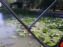 Casa Verde Delta - alloggio in  Delta del Danubio (18)