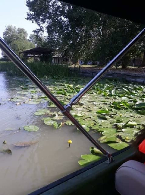 Casa Verde Delta - cazare Delta Dunarii (Activitati si imprejurimi)