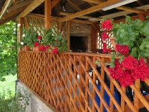 Casa Dobrescu - accommodation in  Rucar - Bran, Moeciu, Bran (04)