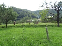 Casa Dobrescu - cazare Rucar - Bran, Moeciu, Bran (07)