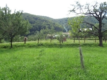 Casa Dobrescu - alloggio in  Rucar - Bran, Moeciu, Bran (07)