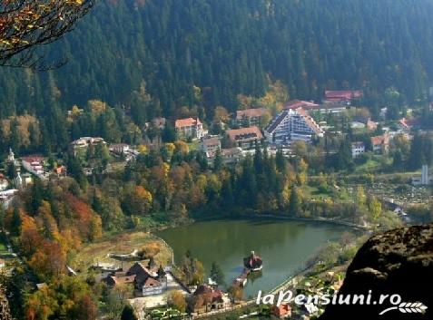 Pensiunea Elenis - accommodation in  Harghita Covasna, Brasov Depression (Surrounding)