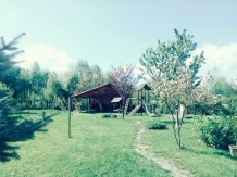 Yellow House Dejani - cazare Fagaras, Sambata (05)