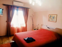 Yellow House Dejani - cazare Fagaras, Sambata (18)