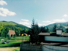 Yellow House Dejani - cazare Fagaras, Sambata (23)