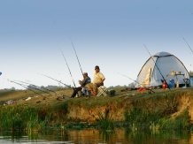 Green Dolphin Camping - alloggio in  Delta del Danubio (06)