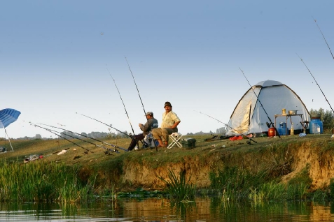 Green Dolphin Camping - alloggio in  Delta del Danubio (Attivit&agrave; e i dintorni)