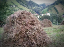 Acasa la Moieciu - alloggio in  Rucar - Bran, Moeciu (12)