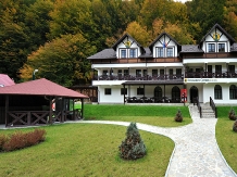 Rural accommodation at  Pensiunea Ciprian