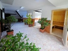 Pensiunea Ciprian - accommodation in  Muntenia (19)