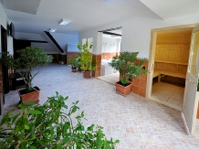 Pensiunea Ciprian - accommodation in  Muntenia (19)