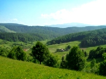 Pensiunea Ciprian - alloggio in  Muntenia (20)