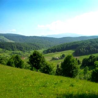 Pensiunea Ciprian - alloggio in  Muntenia (Attivit&agrave; e i dintorni)