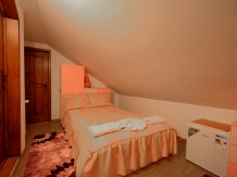 Casa Teo Andreea - accommodation in  Vatra Dornei, Bucovina (17)