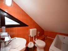 Casa Teo Andreea - cazare Vatra Dornei, Bucovina (18)