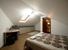 Casa Teo Andreea - accommodation in  Vatra Dornei, Bucovina (22)