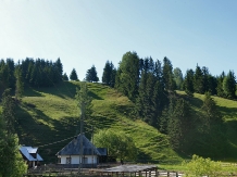 Casa Teo Andreea - cazare Vatra Dornei, Bucovina (39)