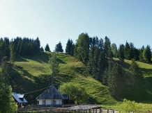 Casa Teo Andreea - accommodation in  Vatra Dornei, Bucovina (39)