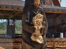 Casa Teo Andreea - alloggio in  Vatra Dornei, Bucovina (43)