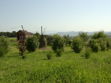 Roua Diminetii - cazare Bistrita (03)