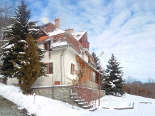 Cabana Bodvaj - accommodation in  Transylvania (03)