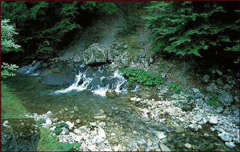 Casa Runcu - cazare Nordul Olteniei (Activitati si imprejurimi)