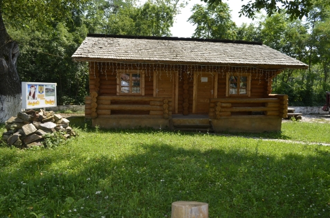 Casa Runcu - accommodation in  North Oltenia (Surrounding)