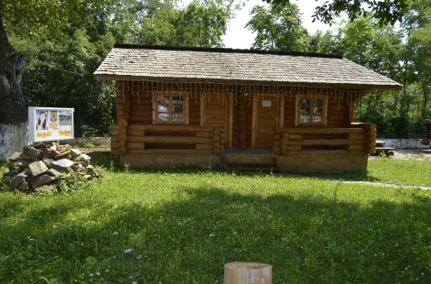 Casa Runcu - accommodation in North Oltenia (Surrounding) Casa Runcu - accommodation in North Oltenia (Surrounding)
