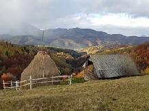 Pensiunea Gabriela Bran - cazare Rucar - Bran, Moeciu, Bran (20)