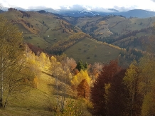 Pensiunea Gabriela Bran - cazare Rucar - Bran, Moeciu, Bran (21)