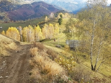 Pensiunea Gabriela Bran - cazare Rucar - Bran, Moeciu, Bran (22)