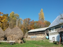 Mountain Sanctuary - alloggio in  Apuseni, Tara Motilor (18)