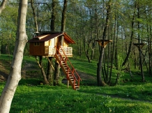 Conacul Bunicilor - accommodation in  Oltenia (07)