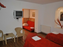 Conacul Bunicilor - accommodation in  Oltenia (09)