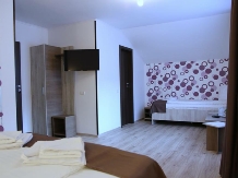 Pensiunea Argesu - accommodation in  Prahova Valley (36)