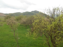 Pensiunea Poezii Alese - cazare Apuseni, Valea Draganului (07)