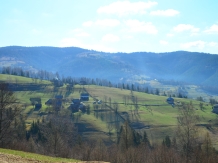 Cabanuta Mihaela Albac - alloggio in  Apuseni, Tara Motilor, Arieseni (13)