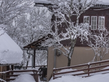 Cabanuta Mihaela Albac - accommodation in  Apuseni Mountains, Motilor Country, Arieseni (26)