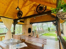 Cabanuta Mihaela Albac - alloggio in  Apuseni, Tara Motilor, Arieseni (38)