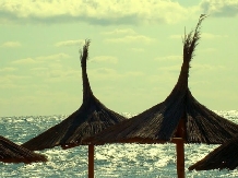 Casa de Vacanta Vama - cazare Litoral (08)