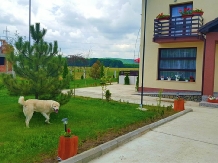 Pensiunea Eduard - accommodation in  Moldova (04)