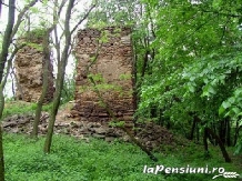 Pensiunea Cetate - alloggio in  Transilvania (07)