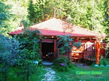 Cabana L.E.A. - accommodation in  Harghita Covasna (08)