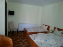 Pensiunea Cristian - accommodation in  Baile Felix (02)