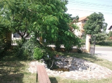 Pensiunea Cristian - accommodation in  Baile Felix (14)