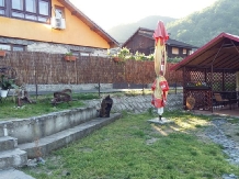 Casa David Dubova - accommodation in  Danube Boilers and Gorge, Clisura Dunarii (13)