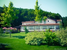 Pensiunea Leonardo - accommodation in  Moldova (03)
