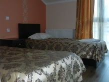 Pensiunea Leonardo - accommodation in  Moldova (14)