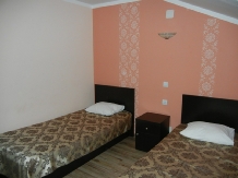 Pensiunea Leonardo - accommodation in  Moldova (15)